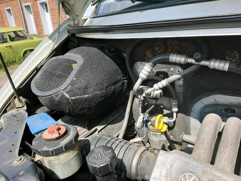 VW T4 2,4 D Schlachter.
