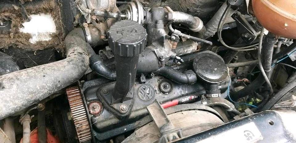 VW T4 Schlachtfahrzeuge/Schlachtfest